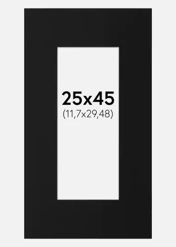 Paspartu Negru Standard (Miez Alb) 25x45 cm (11,7x29,48) Cel mai bun preț