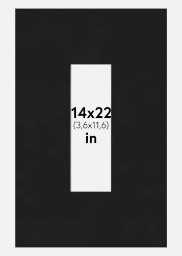 Retur gratuit Paspartu Negru Standard (Miez Alb) 14x22 inches (3,6x11,6)
