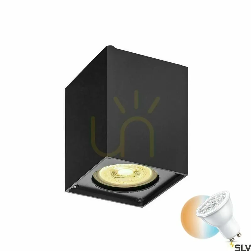 Plafonieră SLV ALTRA DICE negru 35W 1002216 Promoție