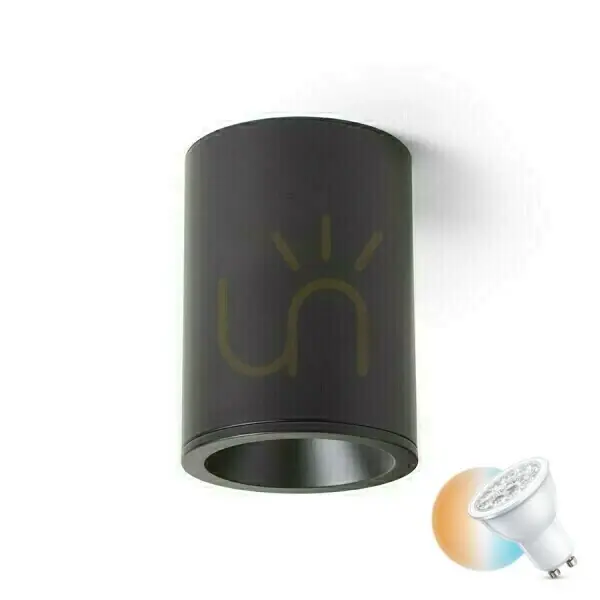 Downlight negru pentru baie EILEEN IP65 Cel mai bun preț