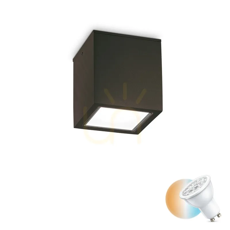Doar azi Plafonieră exterior Ideallux TECHO PL1 BIG negru GU10 IP54 15 cm 251530
Ofertă Limitată