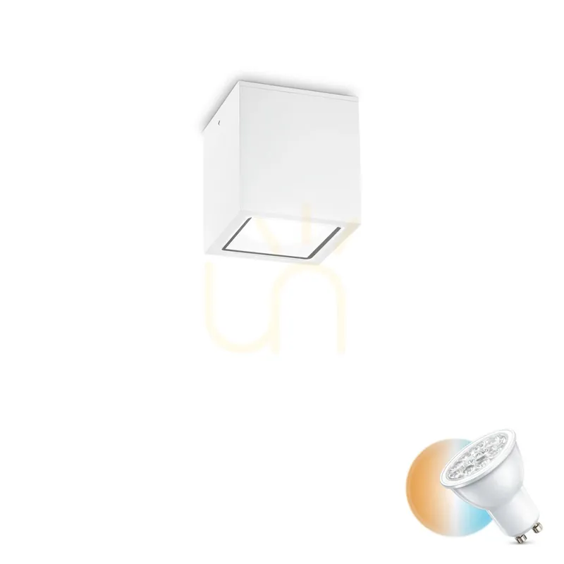 Plafon exterior Ideallux TECHO PL1 Small alb GU10 IP54 251561
Ofertă Limitată Noutate