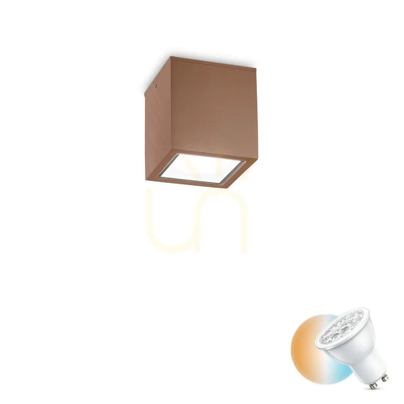 Ofertă limitată Plafonieră exterior Ideallux TECHO PL1 SMALL COFFEE maro GU10 IP44 251592
Ofertă Limitată