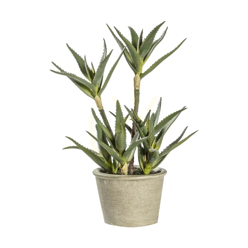 Aloe artificial în ghiveci verde Gallery Direct 25x25x38 cm 5059413399176 Bestseller