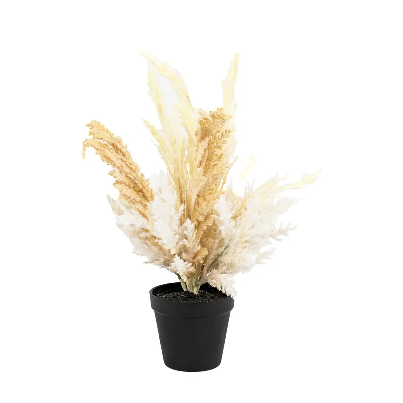 Iarbă uscată decorativă în ghiveci Gallery Direct gri/natural 28x28x48,5 cm Cel mai vândut