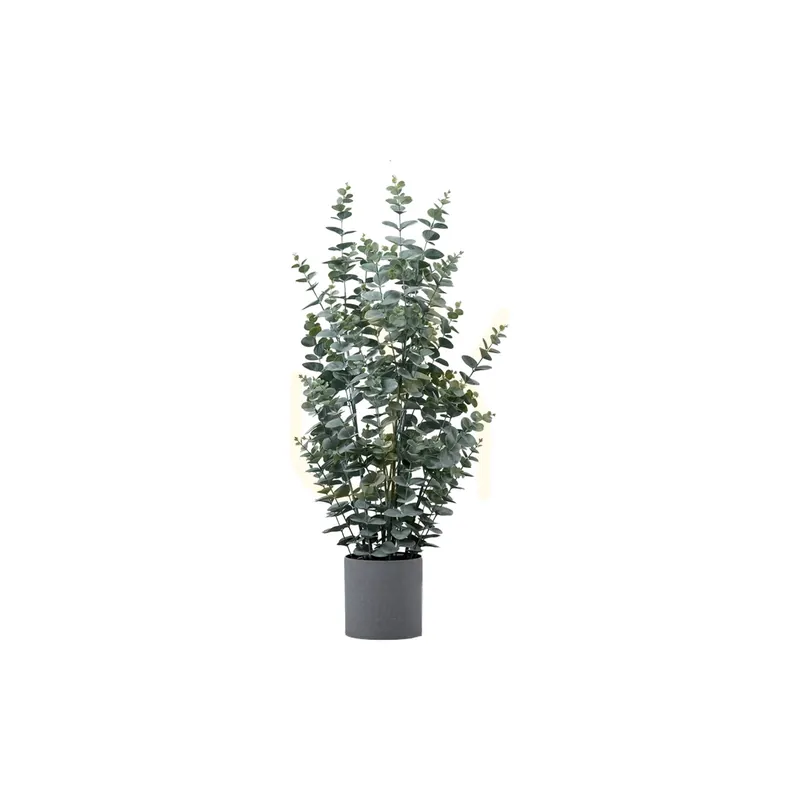 Tufiș de eucalipt în ghiveci verde 84,5 cm Gallery Direct 5059413755545 Reducere specială