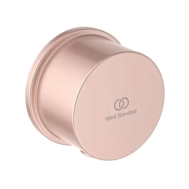 Mai ieftin Conector Fixfit, rose mat, Ideal Standard IdealRain BC808RO
