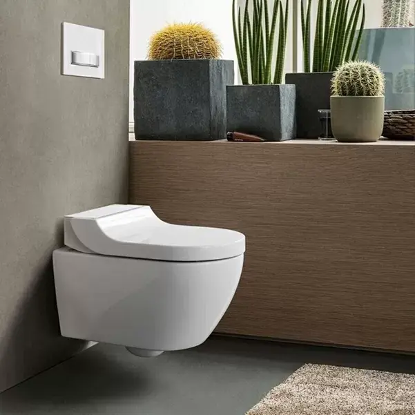 Capac vas wc soft close, cu functie de bideu, Geberit AquaClean Tuma Classic 146.074.11.1 Cumpără online