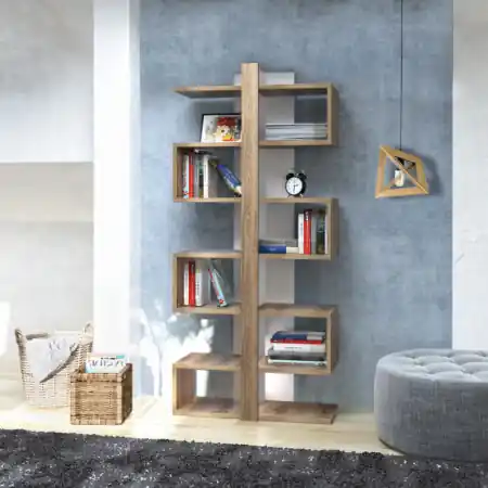 Ofertă Biblioteca Ionis
