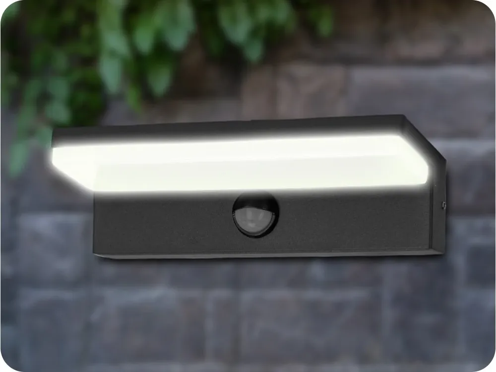 Expediere rapidă LAMPĂ DE PERTE EXTERIOR LED CU SENSOR PACHIRA 9W, 500LM, IP54, 4000K, NEGRU [AD-OP-6576BLPMR4]